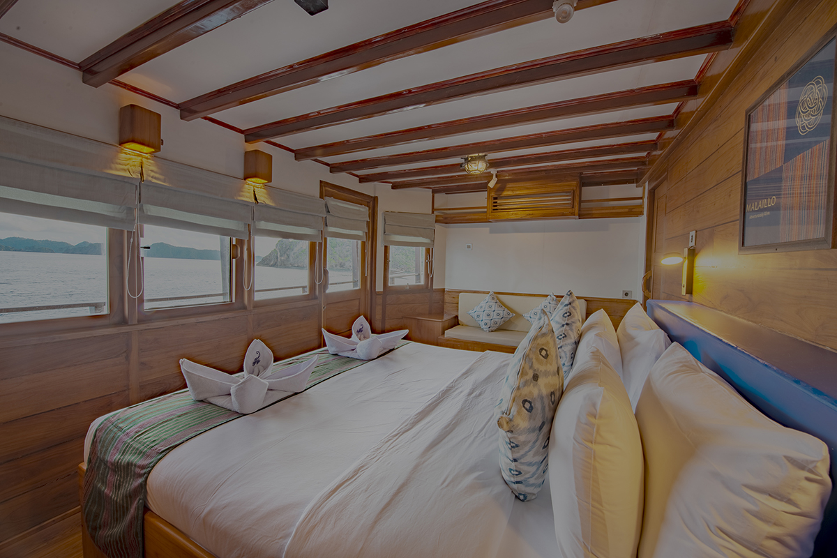 Cabins at Malaillo Liveaboard Indonesia