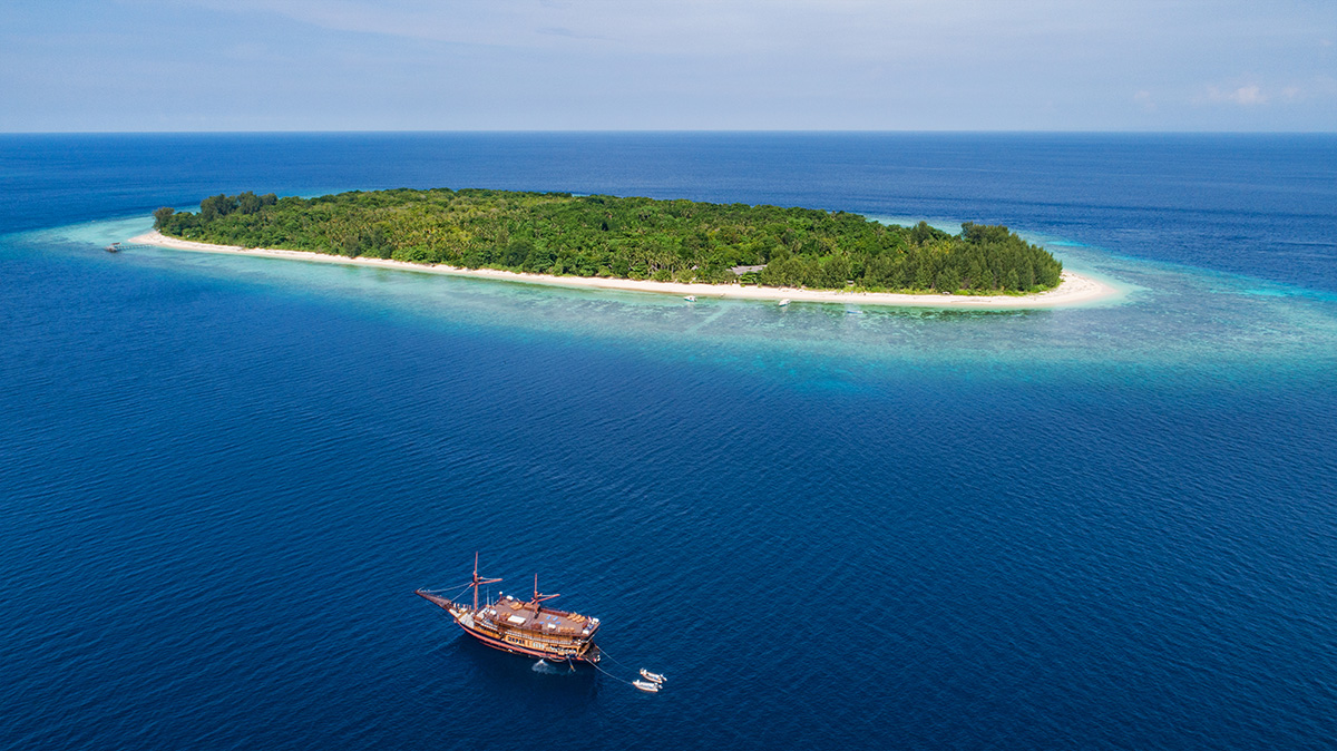 Raja Ampat to Maluku on Malaillo Liveaboard – An Unforgettable 12-Night Diving Adventure in the Coral Triangle