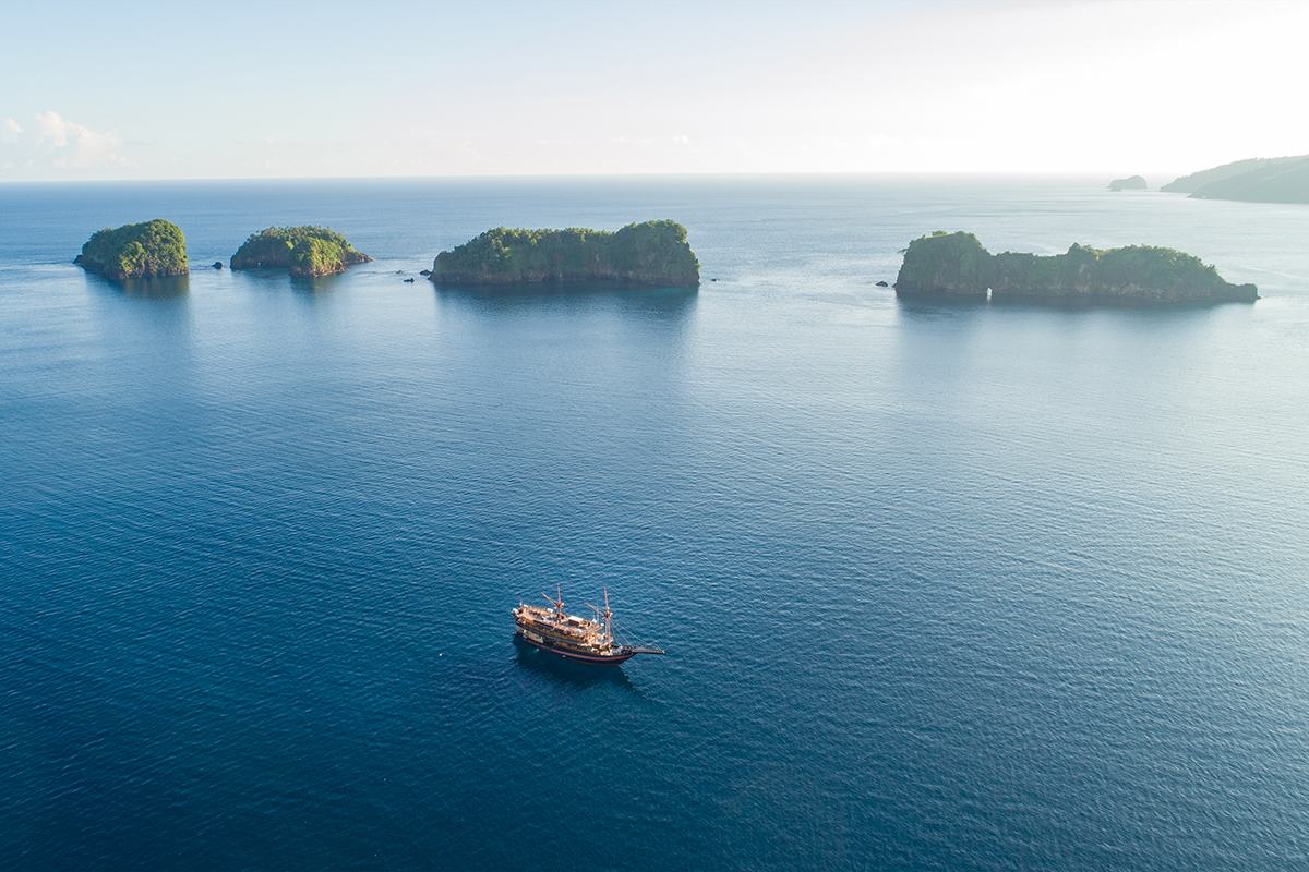Sustainability at Sea: How Malaillo Embraces Eco-Friendly Liveaboard Diving in Indonesia